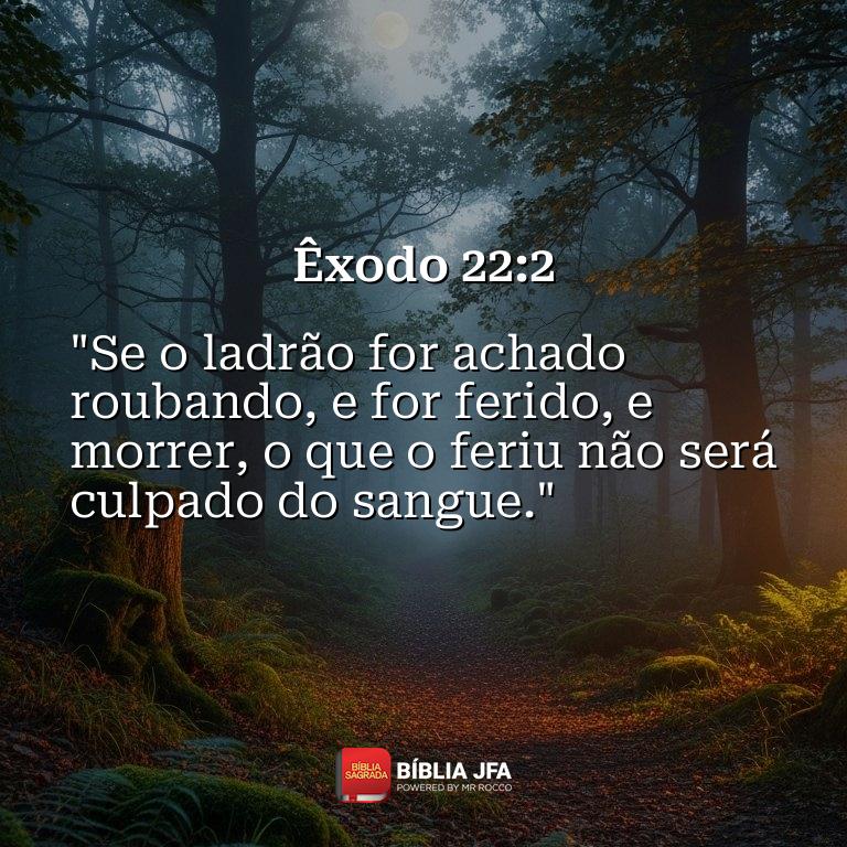 Imagem do versículo Êxodo 22:2