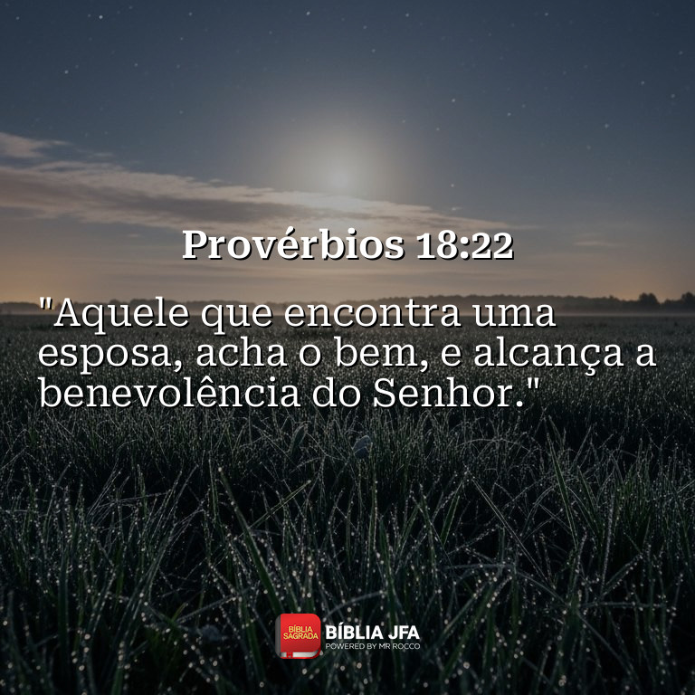 Imagem do versículo Provérbios 18:22