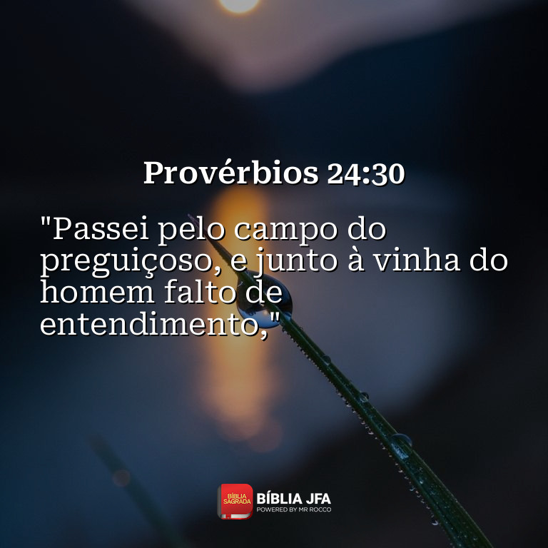 Imagem do versículo Provérbios 24:30