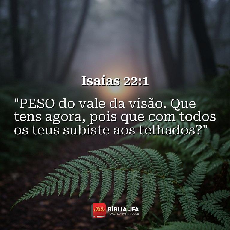 Imagem do versículo Isaías 22:1