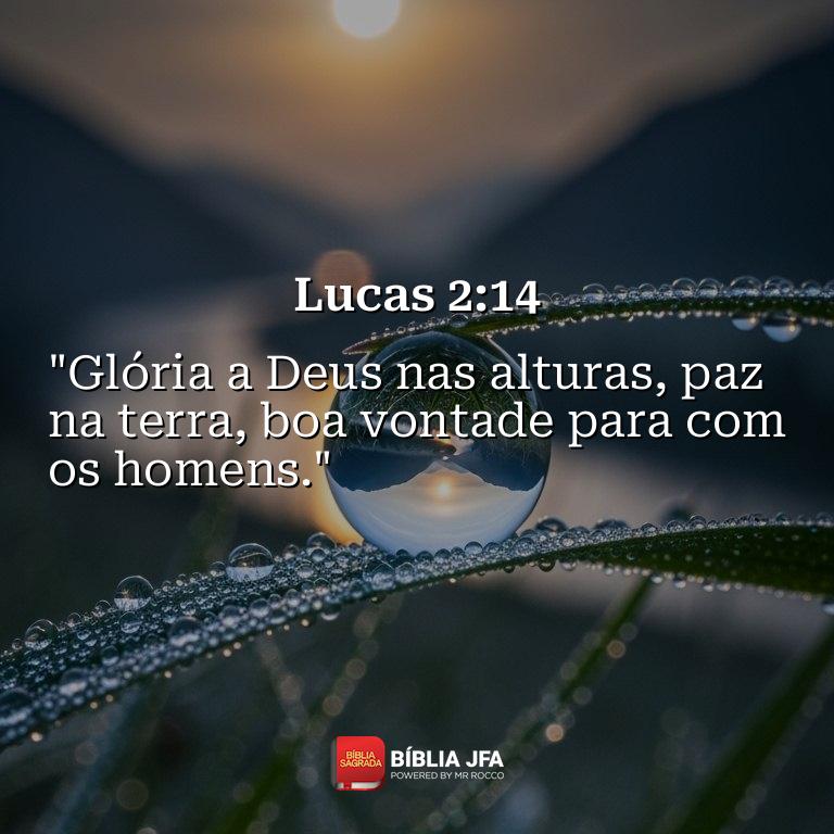 Imagem do versículo Lucas 2:14
