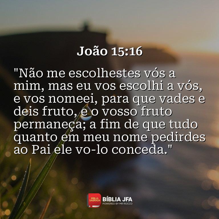 Imagem do versículo João 15:16