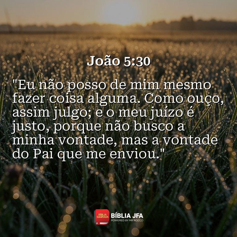Imagem do versículo João 5:30