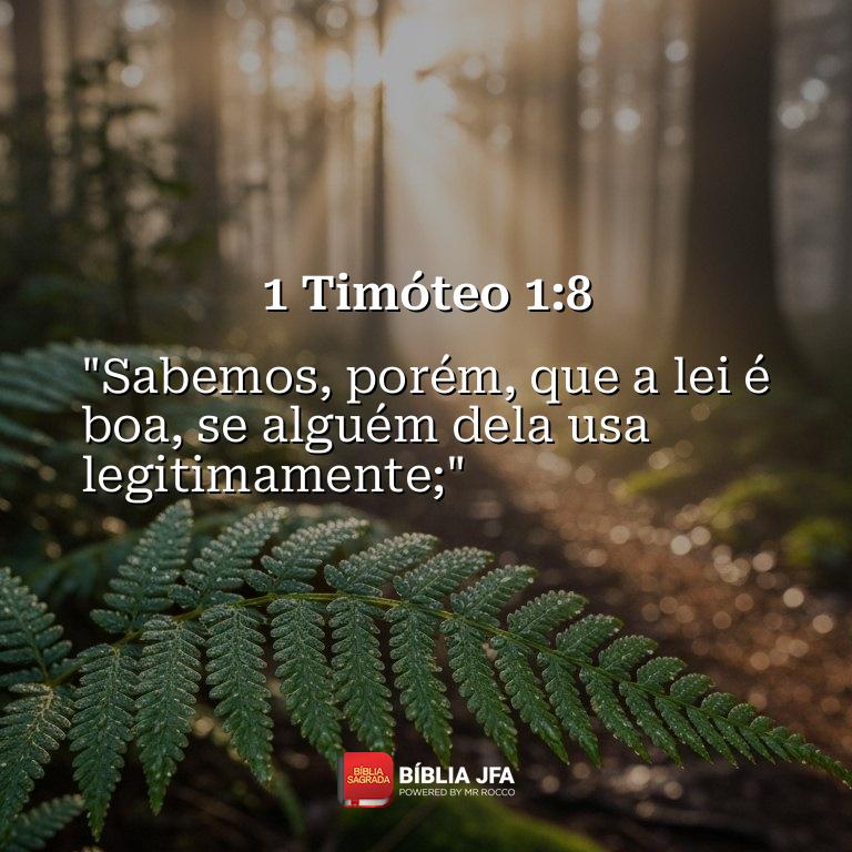 Imagem do versículo 1 Timóteo 1:8