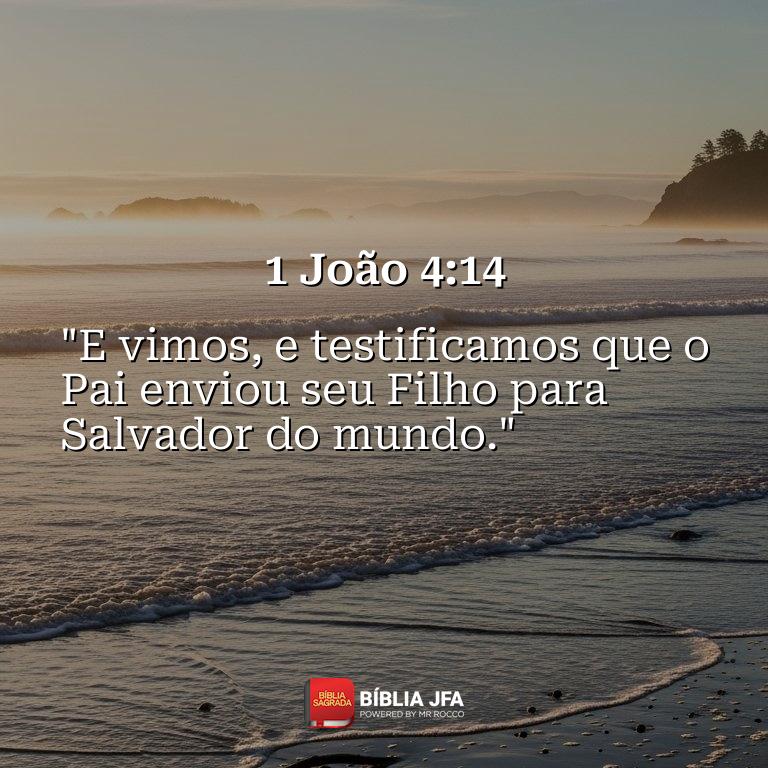 Imagem do versículo 1 João 4:14