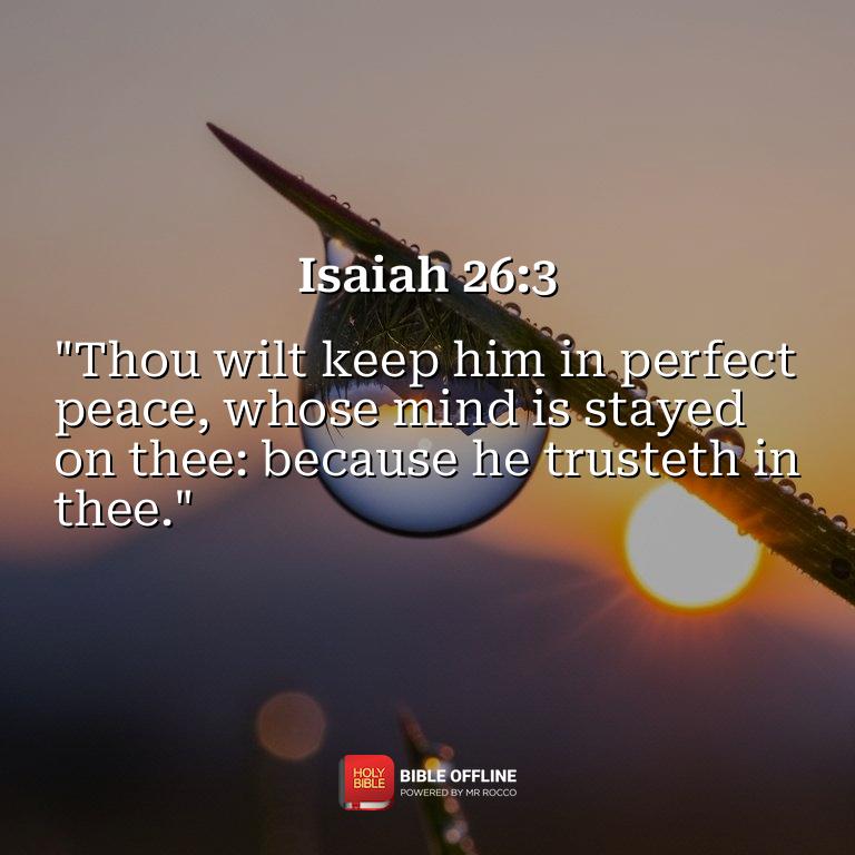 Imagem do versículo Isaiah 26:3