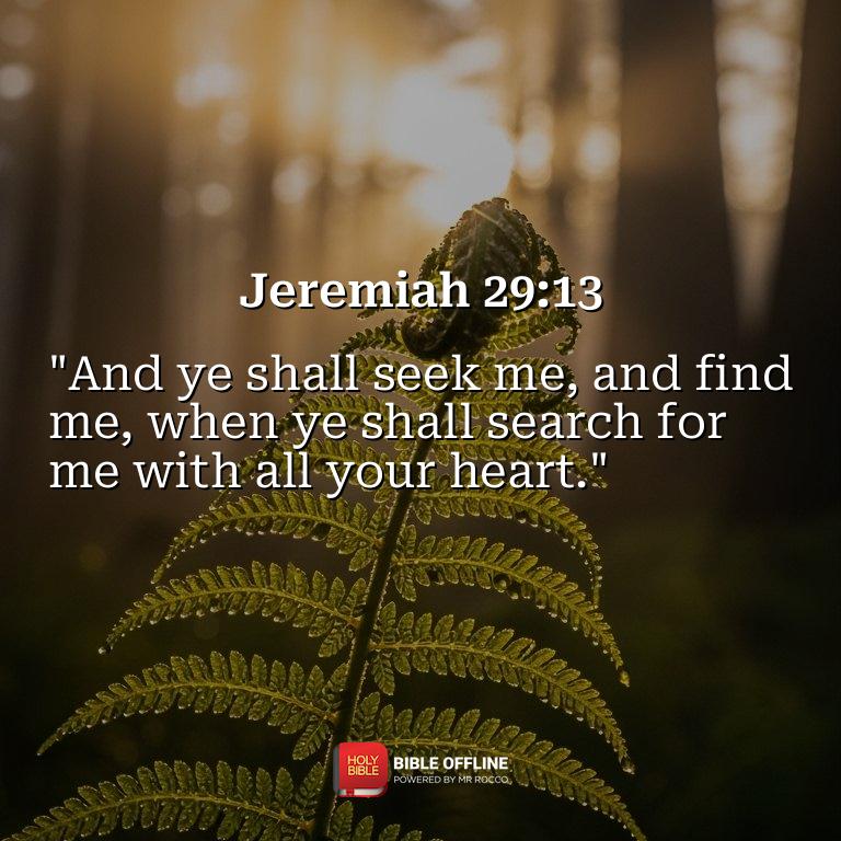 Imagem do versículo Jeremiah 29:13