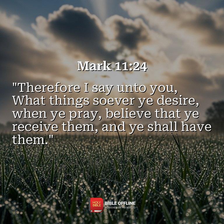 Imagem do versículo Mark 11:24