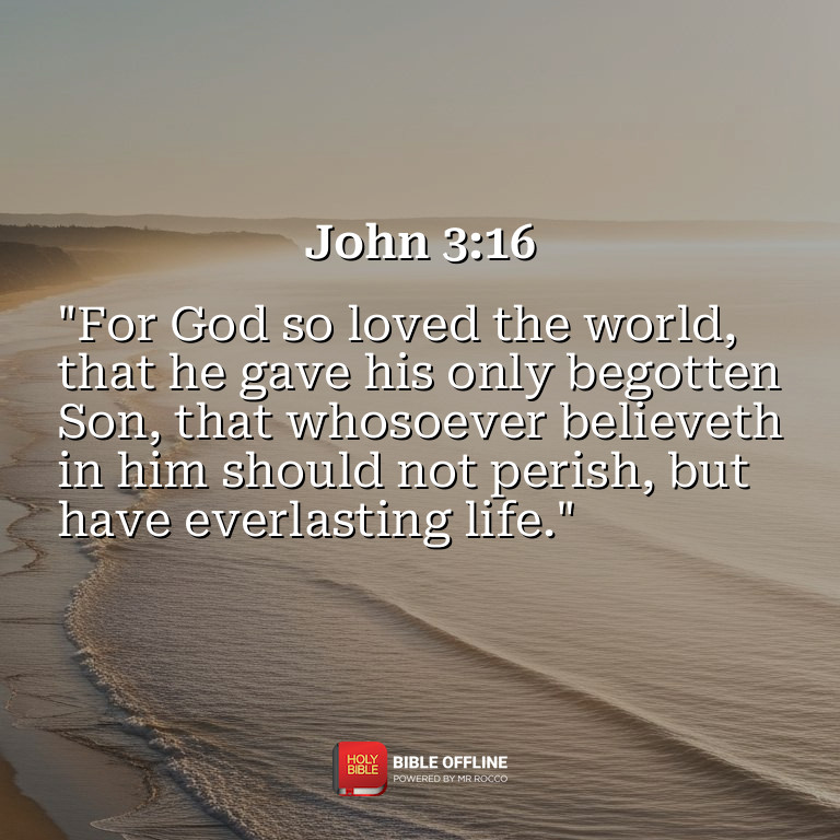 Imagem do versículo John 3:16