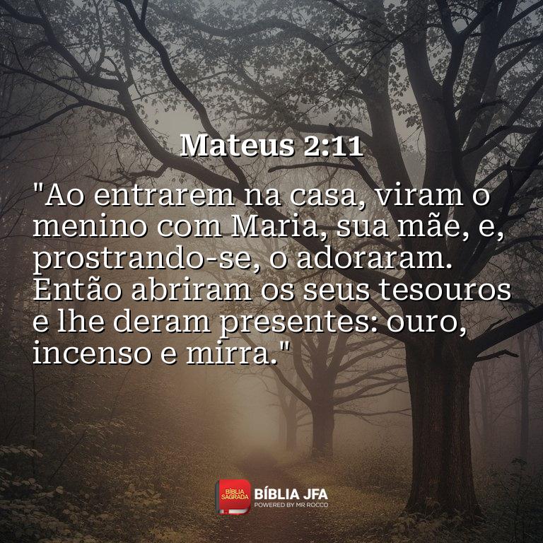 Imagem do versículo Mateus 2:11