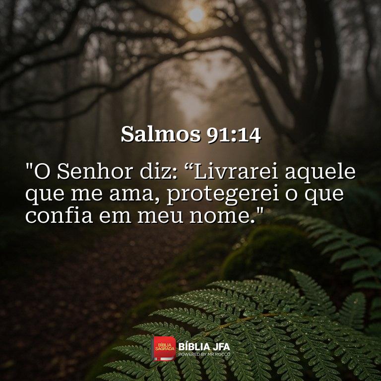 Imagem do versículo Salmos 91:14